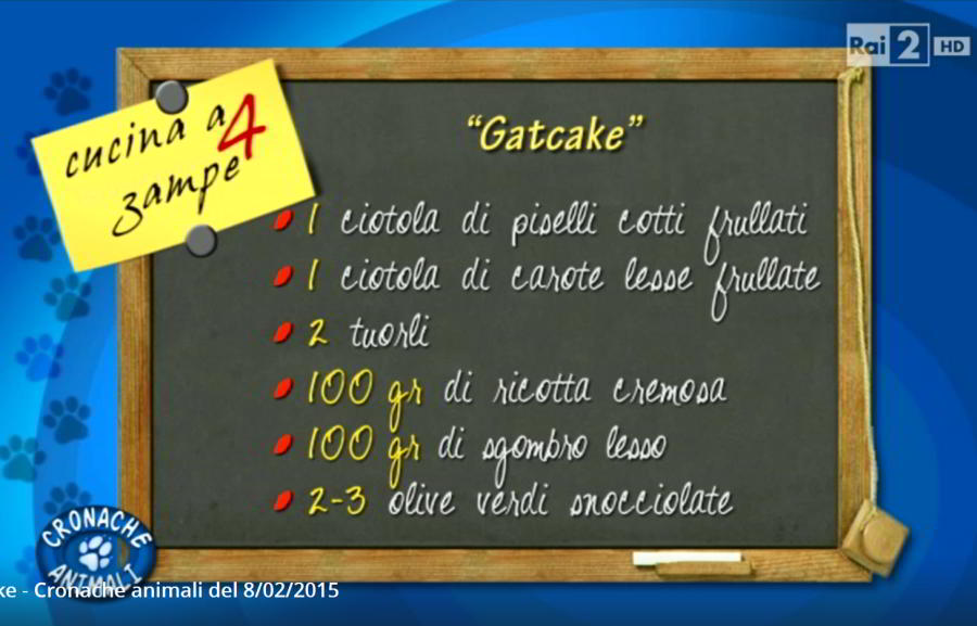 Gat Cake - Cronache animali