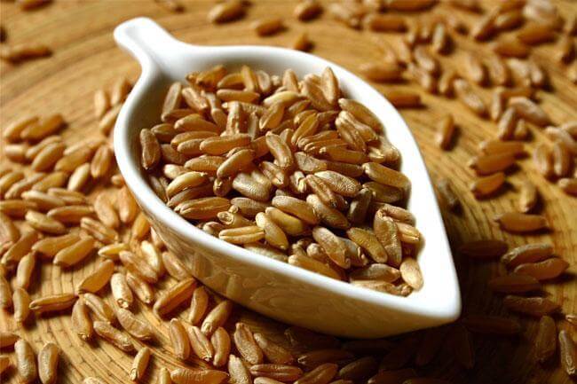 Il Kamut non è un cereale di lusso!